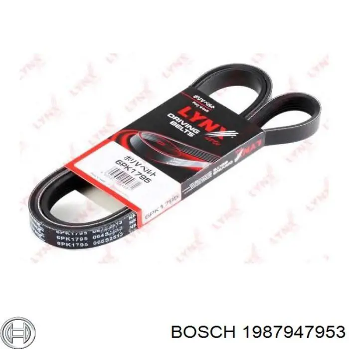 Correa de alternador 1987947953 Bosch