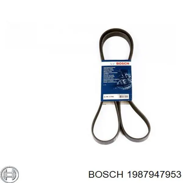 1987947953 Bosch Correa poly v