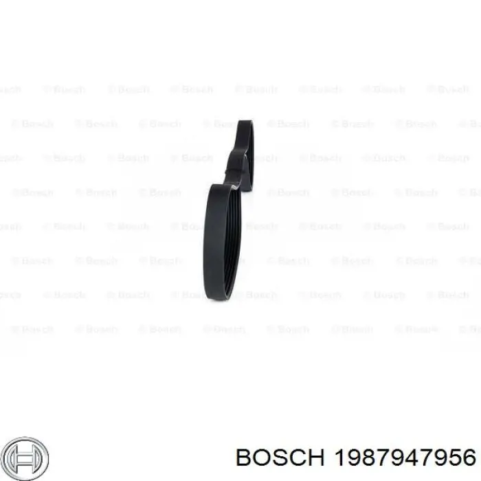 Correa accesorios Bosch 1987947956