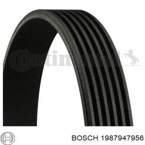 1987947956 Bosch Correa poly v