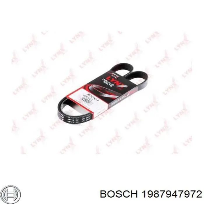 1987947972 Bosch Correa poly v