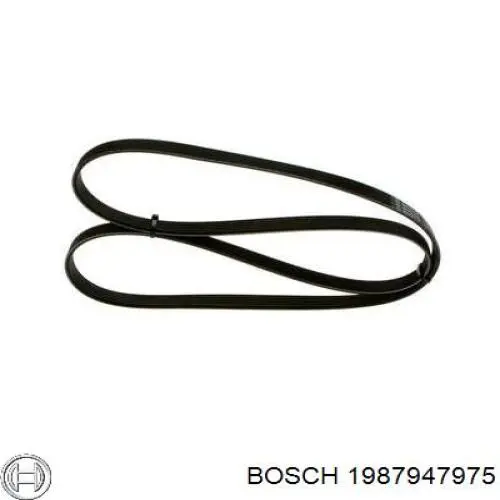 1987947975 Bosch correa trapezoidal