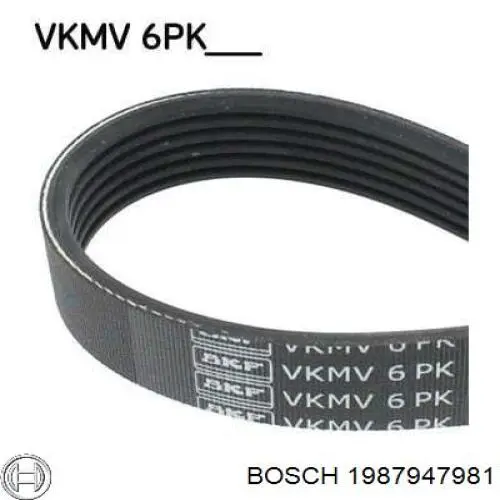 Correa accesorios Bosch 1987947981