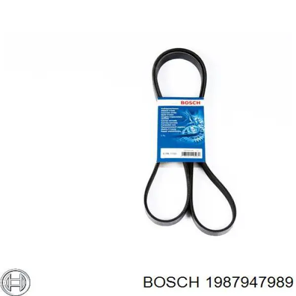 Correa accesorios Bosch 1987947989