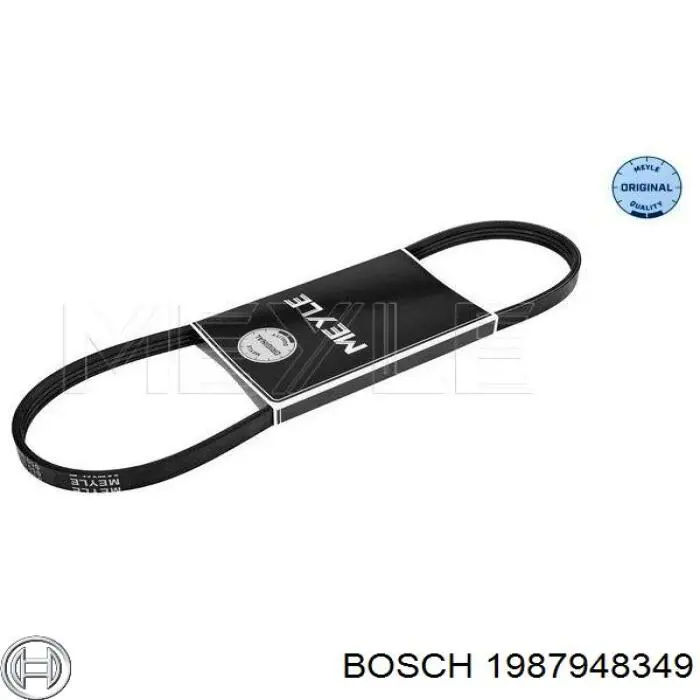 Correa trapezoidal Subaru Forester 1 S10, SF