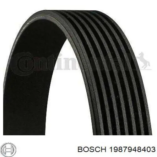 Correa accesorios Bosch 1987948403