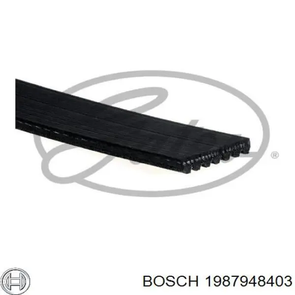 1987948403 Bosch Correa poly v