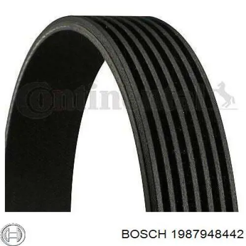 1987948442 Bosch Correa poly v