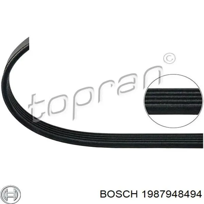 1987948494 Bosch Correa poly v