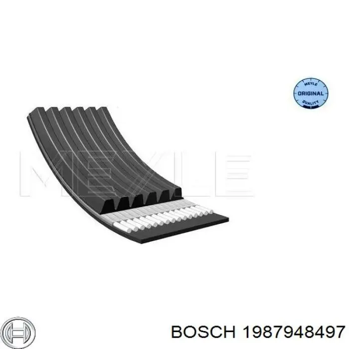 Correa de alternador 1987948497 Bosch