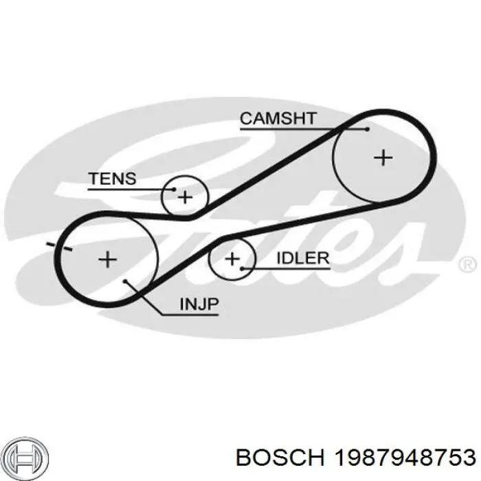 Comprar 1987948753 Bosch Correa de la bomba de inyección