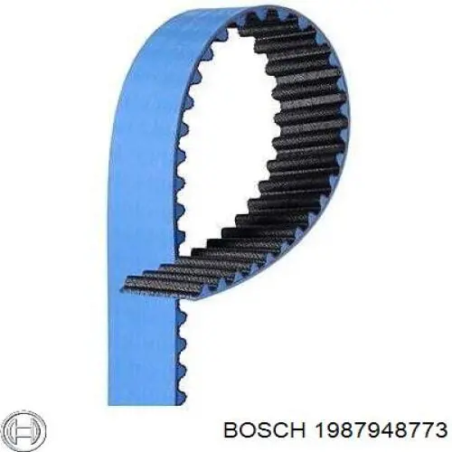 1987948773 Bosch correa distribucion