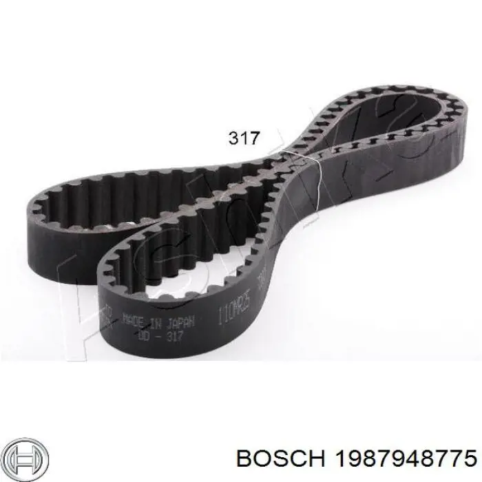 F202122059A Mazda Correa dentada