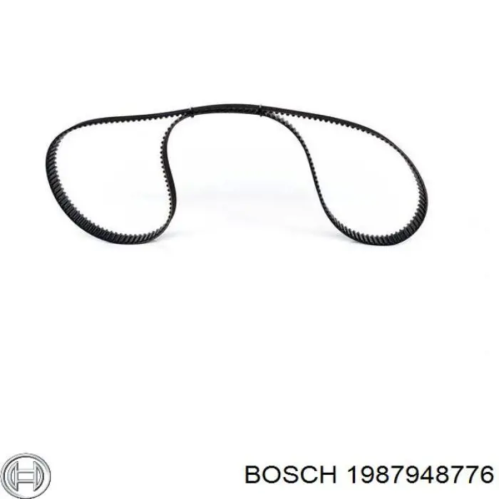 Comprar 1276178E01 Hyundai/Kia Correa distribución