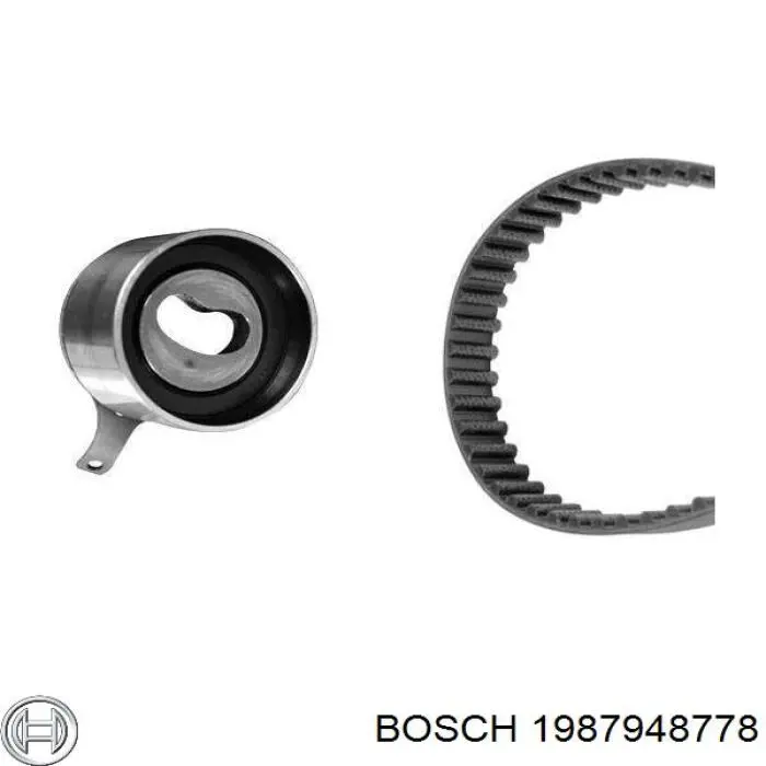 Correa distribución 1987948778 Bosch