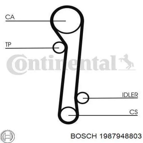 Correa distribución 1987948803 Bosch