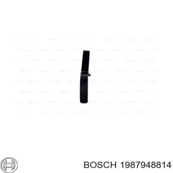 1987948814 Bosch correa distribucion