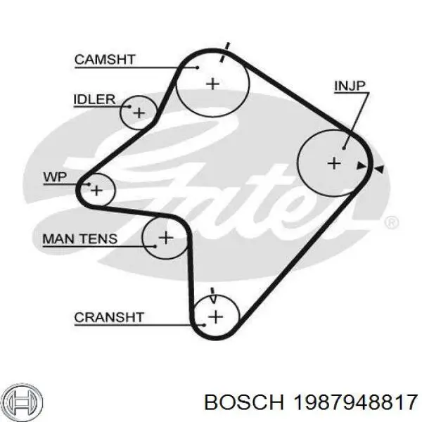 1987948817 Bosch correa distribucion