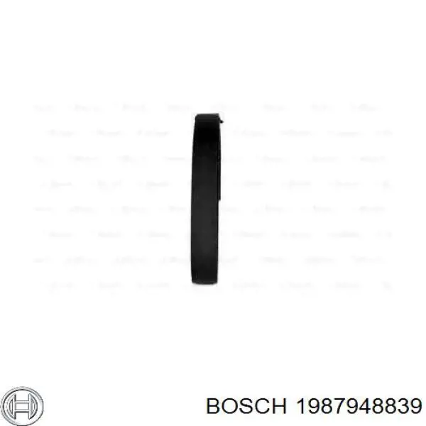 1987948839 Bosch correa, bomba de alta presión