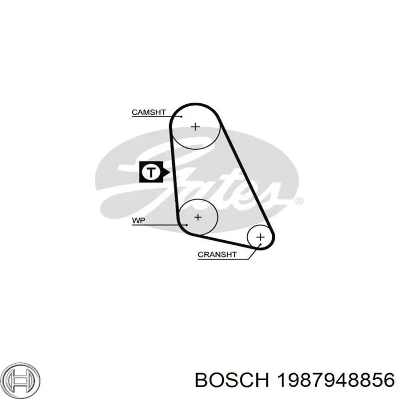 1987948856 Bosch correa distribucion