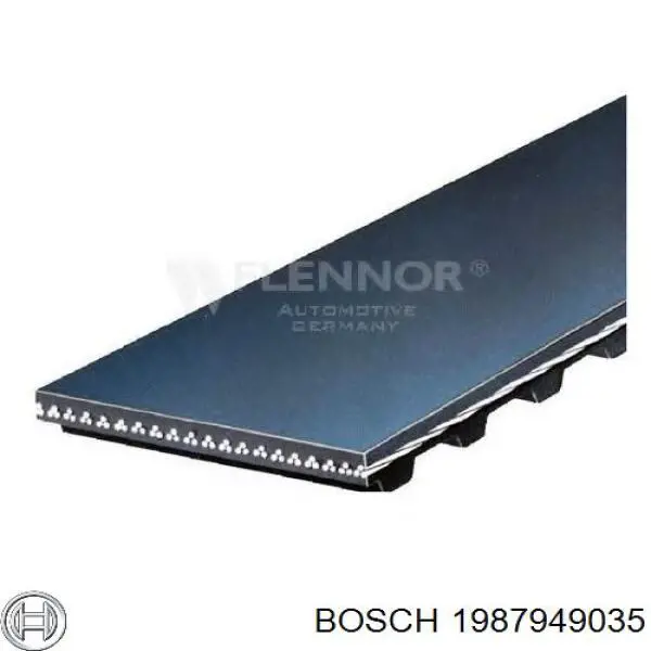 1987949035 Bosch Correa dentada