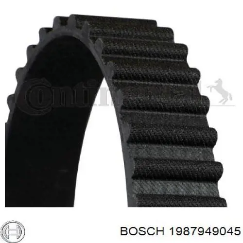 1987949045 Bosch correa distribucion