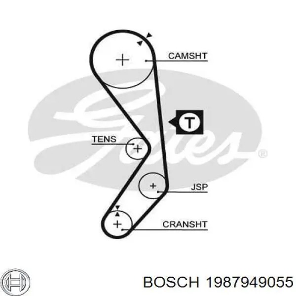 Comprar 1987949055 Bosch Correa distribución
