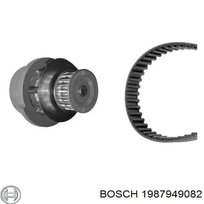 Correa distribución 1987949082 Bosch