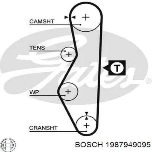 Comprar 1987949095 Bosch Correa distribución
