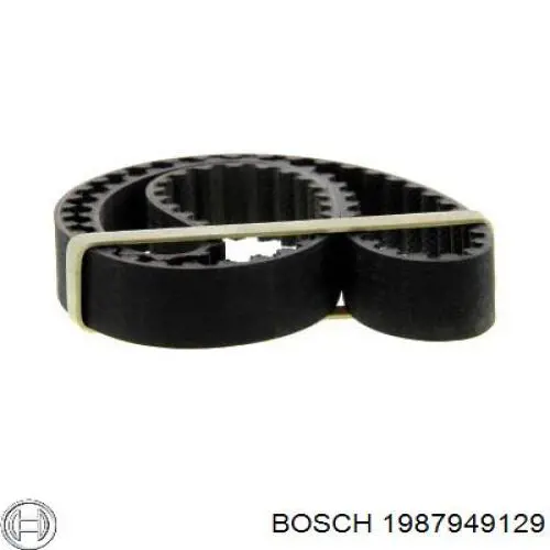 Comprar 5101 Gates Correa distribución