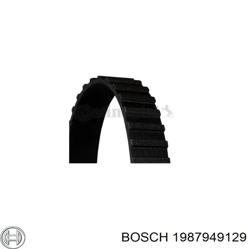 Comprar 1987949129 Bosch Correa distribución