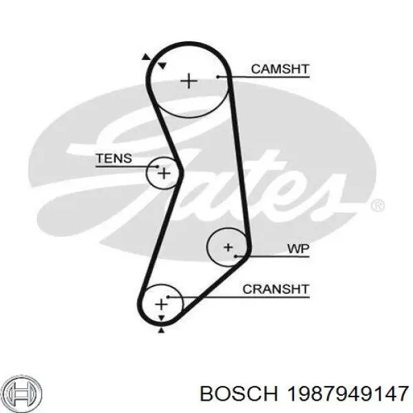 1987949147 Bosch correa distribucion