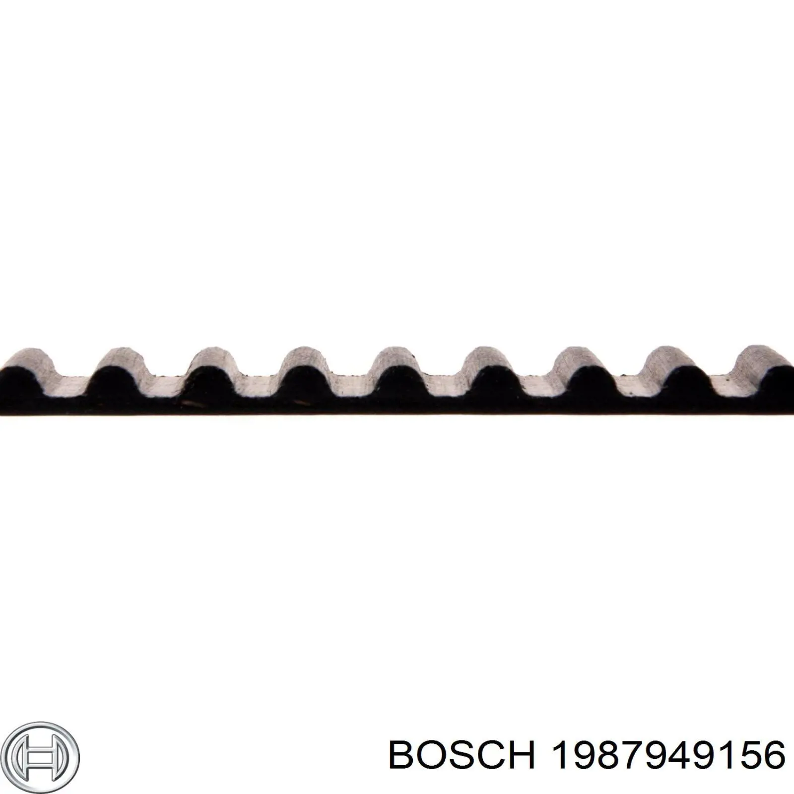 Correa distribución 1987949156 Bosch