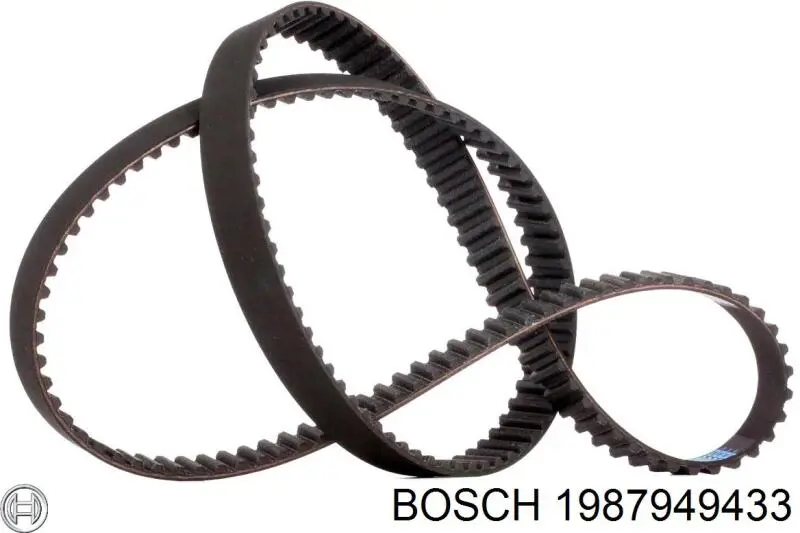 Correa distribución 1987949433 Bosch