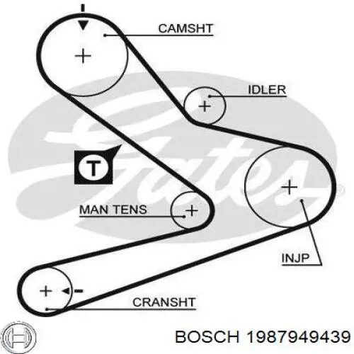 Correa distribución 1987949439 Bosch
