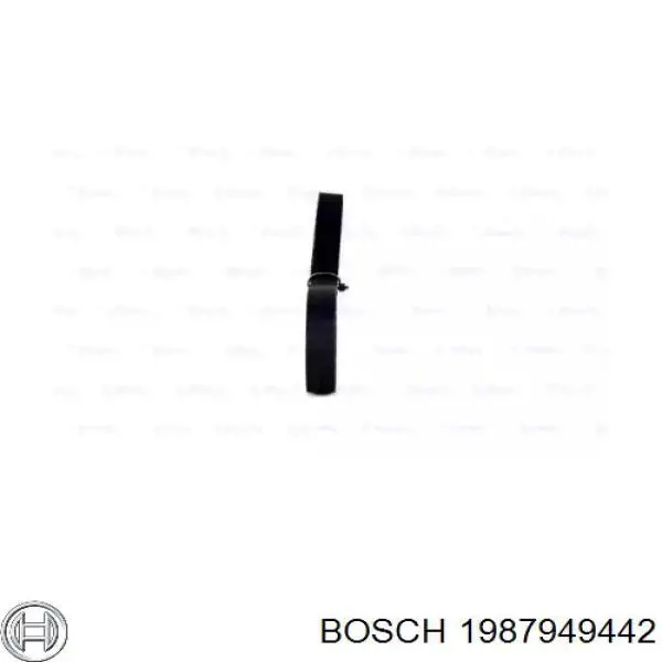 1987949442 Bosch correa distribución