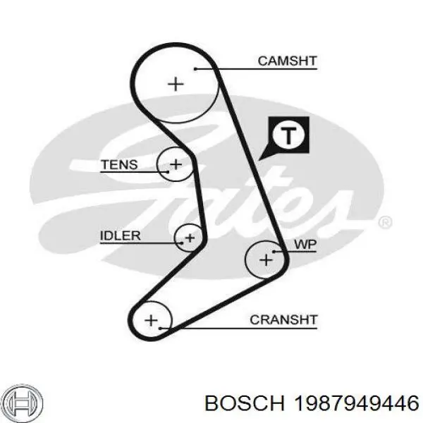 Correa distribución 1987949446 Bosch