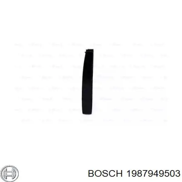 1987949503 Bosch correa distribución