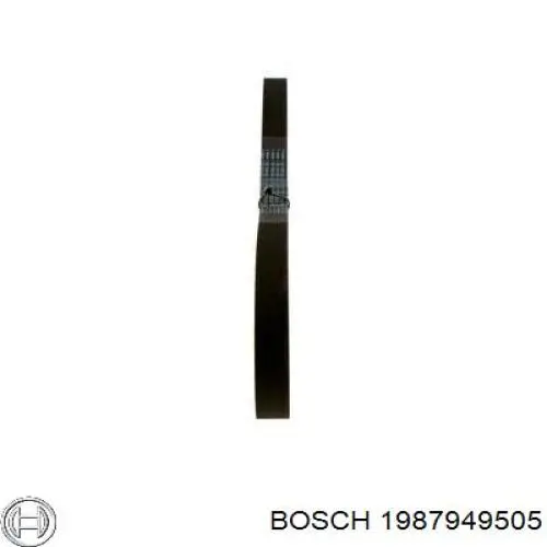1987949505 Bosch correa distribucion