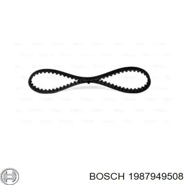 Correa distribución 1987949508 Bosch