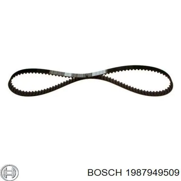 1987949509 Bosch correa distribucion