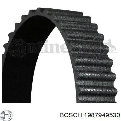 Correa de distribución Continental/Siemens CT1111 precio, desde 91,31 EUR