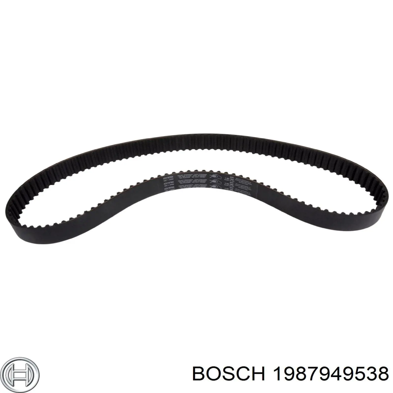 Correa distribución 1987949538 Bosch