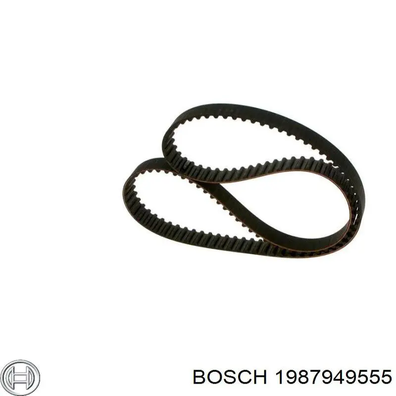 1 987 949 555 Bosch correa distribucion