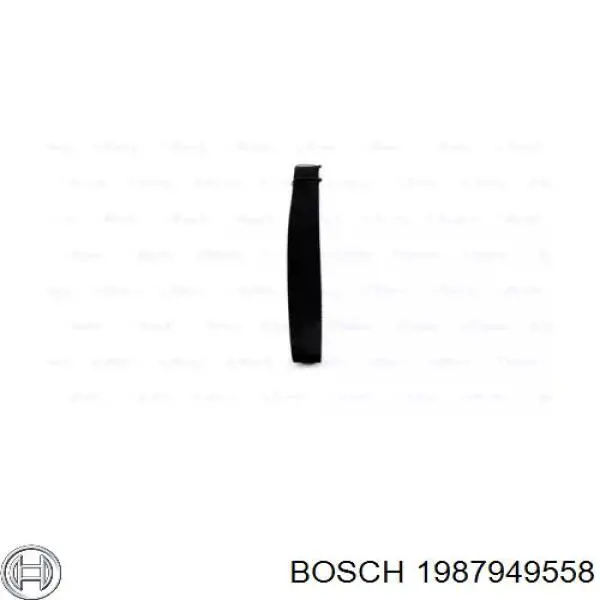 Correa distribución 1987949558 Bosch