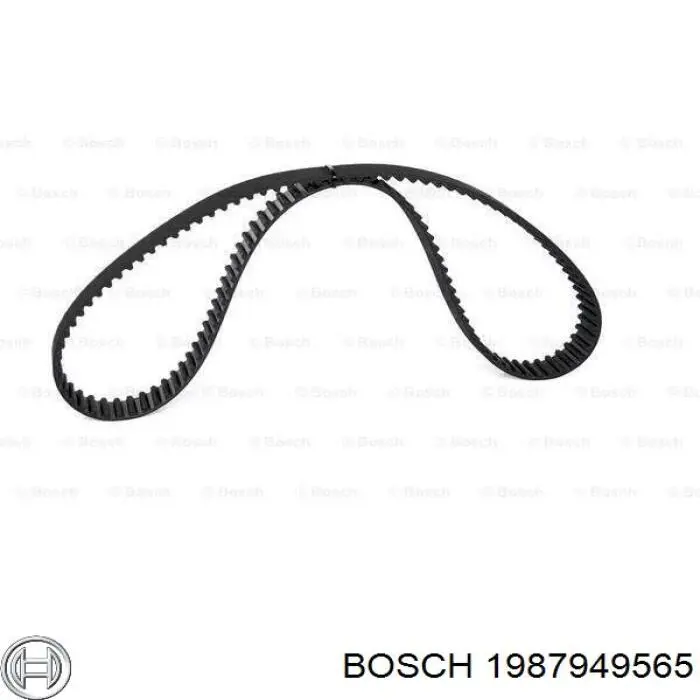 Correa distribucion Nissan Qashqai 1 J10