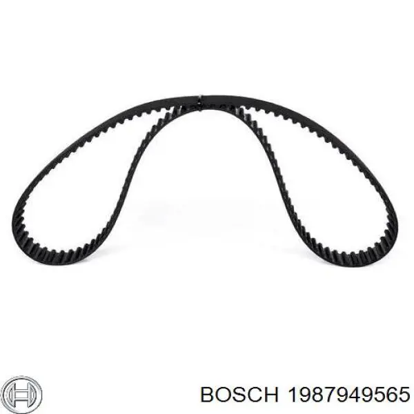 1987949565 Bosch correa distribucion