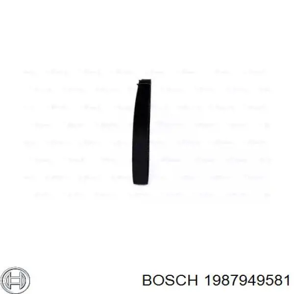 1987949581 Bosch correa distribucion