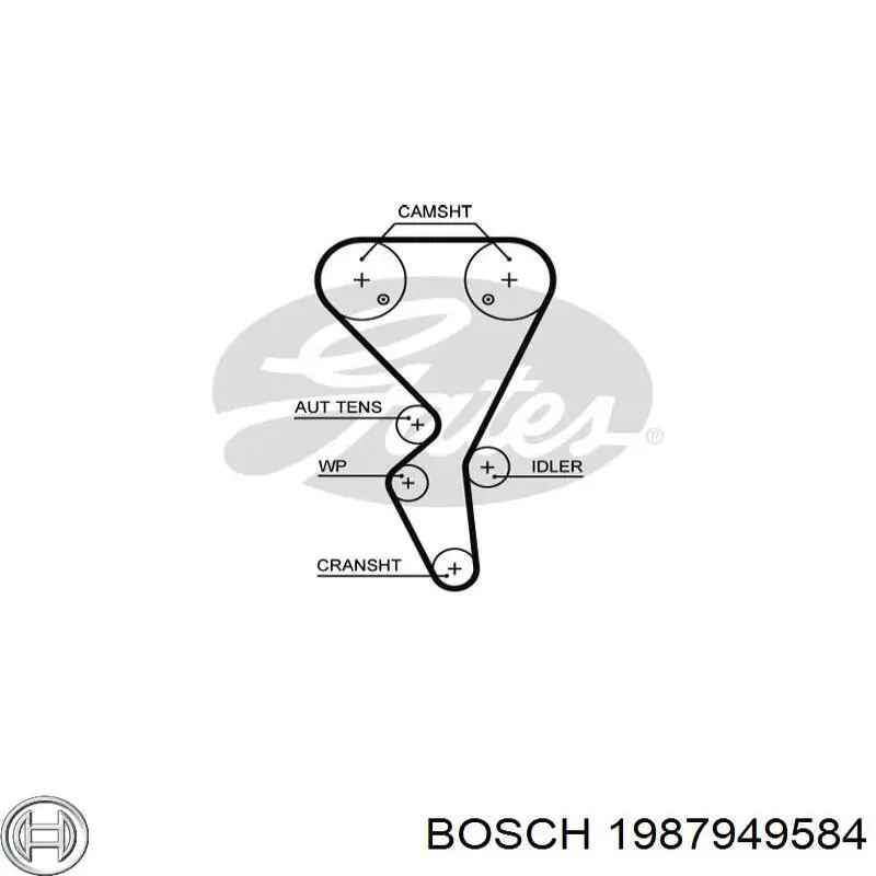 Correa distribución 1987949584 Bosch