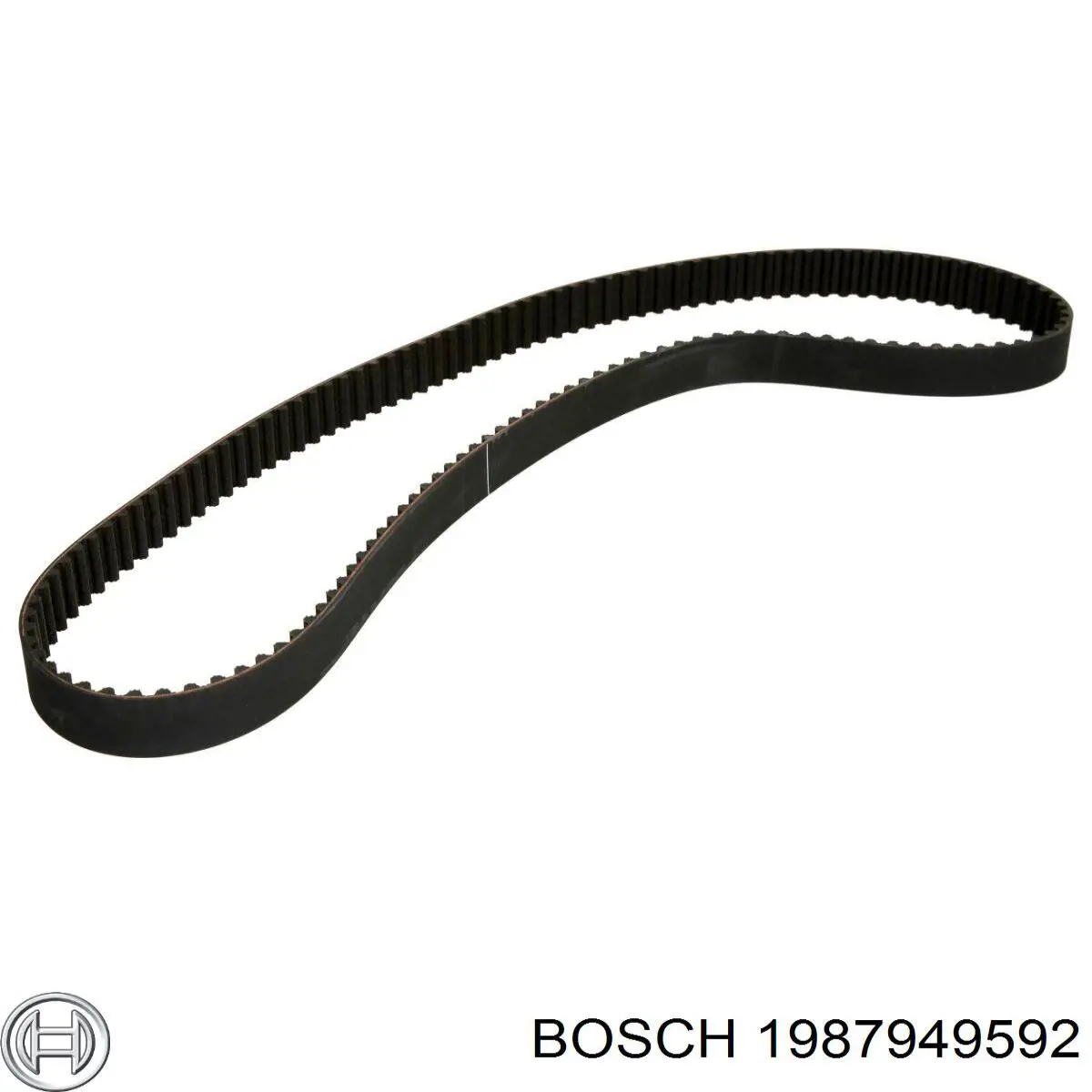 1987949592 Bosch correa distribucion